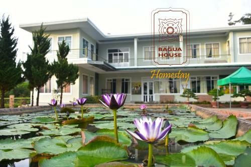 Albergue Bagua House - Homestay
