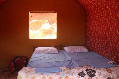 Wadi Rum Protected Area Camp