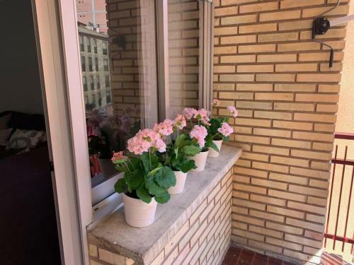 Apartamento Murrieta