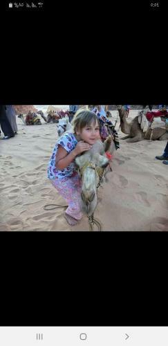 Hotel Bedouin Future Camp