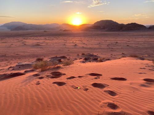 Wadi Rum Nice Camp & Tours