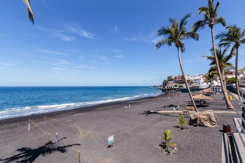 Apartamentos Atl�ntico Playa