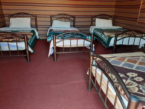 Bedouin Host Camp& With Tour