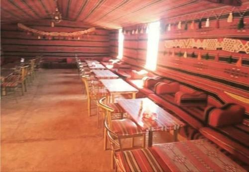 Bedouin Host Camp& With Tour