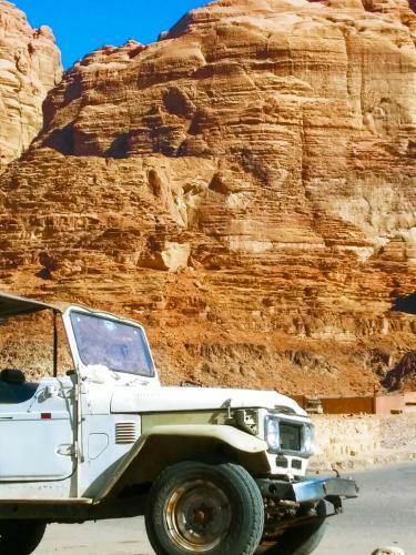 Bedouin Host Camp& With Tour