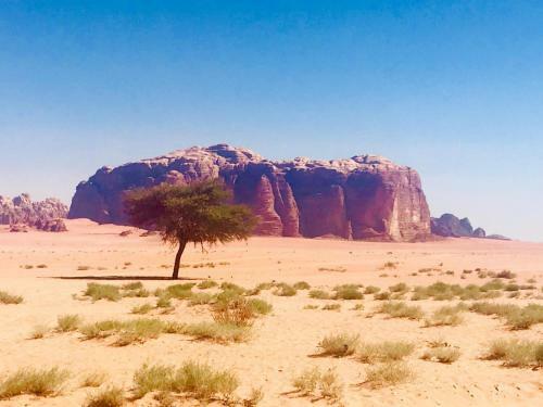 Wadi Rum Echo Camp