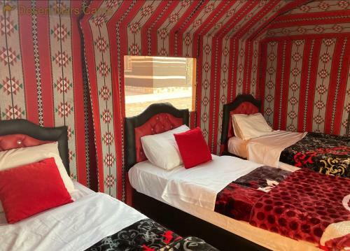 Desert Mars Camp & Tours