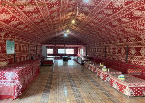 Desert Mars Camp & Tours