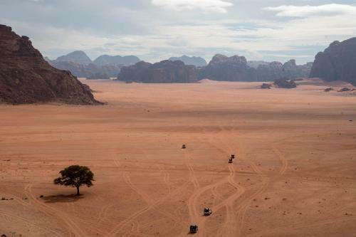 Desert Mars Camp & Tours