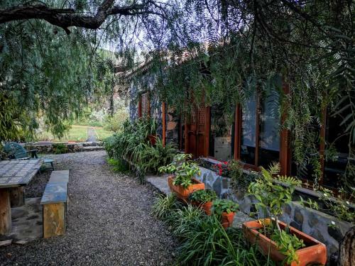 Finca Alda