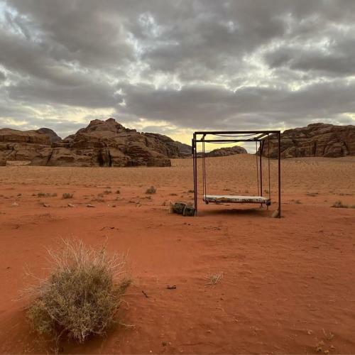 Discover The Life Of Wadi Rum