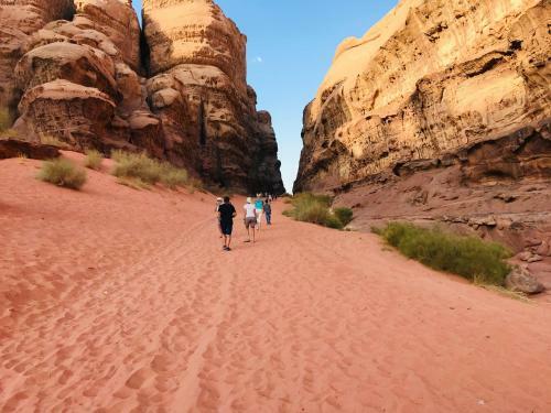 Sand And Stone Camp - Wadi Rum Desert