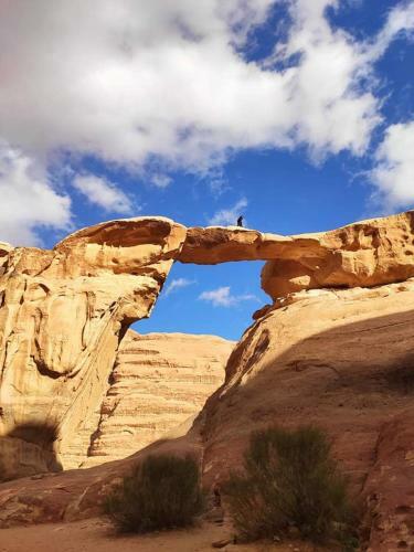 Wadi Rum Enchanting Nature Camp