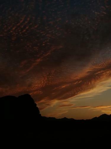 Wadi Rum Enchanting Nature Camp
