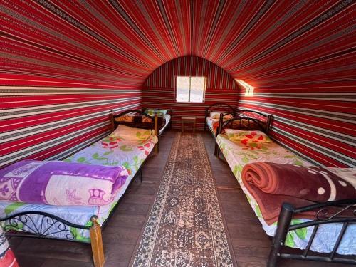Apartamento Bedouin Mores Camp