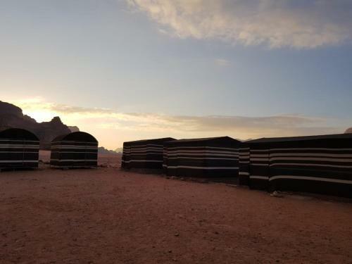 Wadi Rum Dew