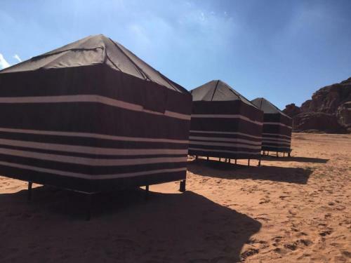 Wadi Rum Dew