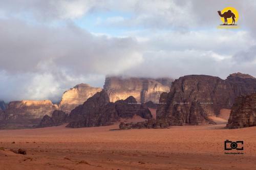 Wadi Rum Dew
