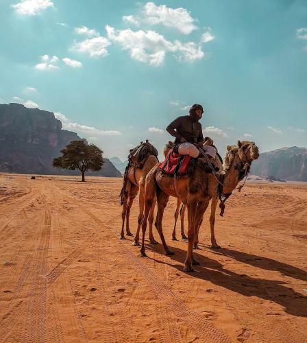 Wadi Rum Dew