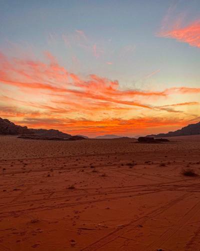Wadi Rum Silk Road Camp