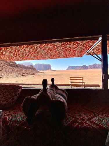 Wadi Rum Silk Road Camp