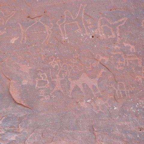 Bed & Breakfast Wadi Rum Desert Lovers Camp