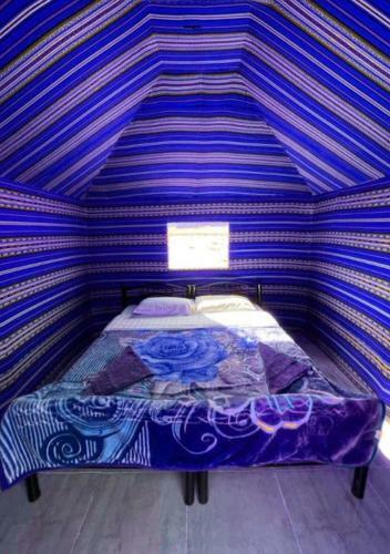 Desert Stars Camp Wadi Rum