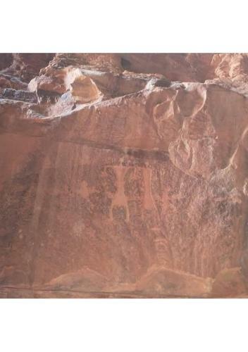 Desert Stars Camp Wadi Rum
