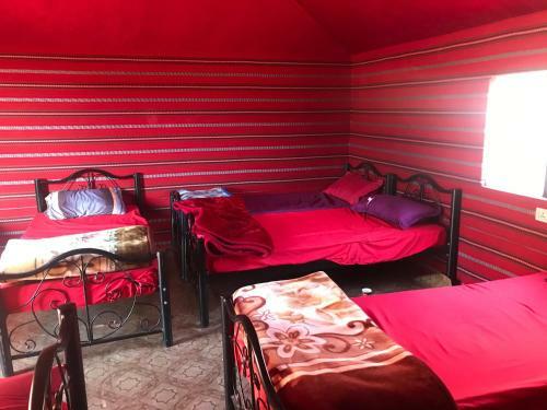 Hotel Desert Lover& Toures