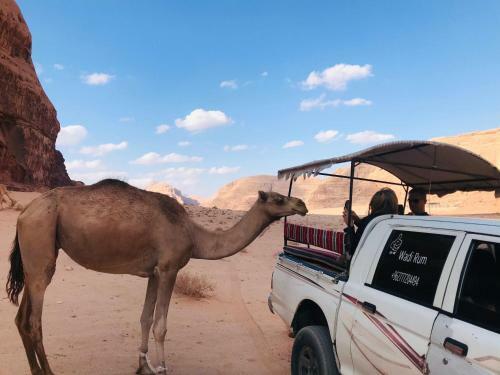 Hotel Desert Lover& Toures