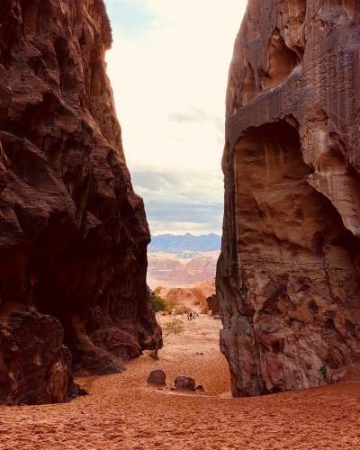 Hotel Desert Lover& Toures