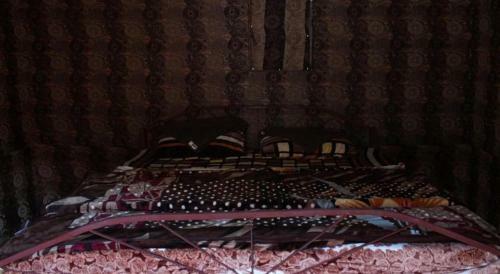 Bedouin Moon Camp&tour