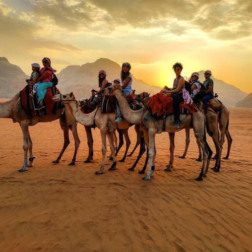 Bedouin Moon Camp&tour