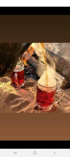 Bedouin Moon Camp&tour