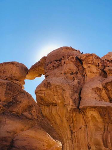 Wadi Rum Alternative Camp