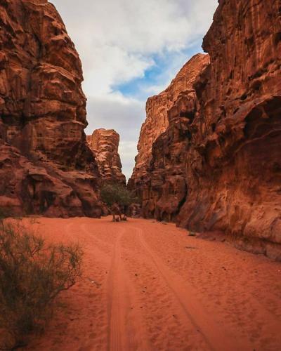 Apartamento Secrets Of Wadi Rum