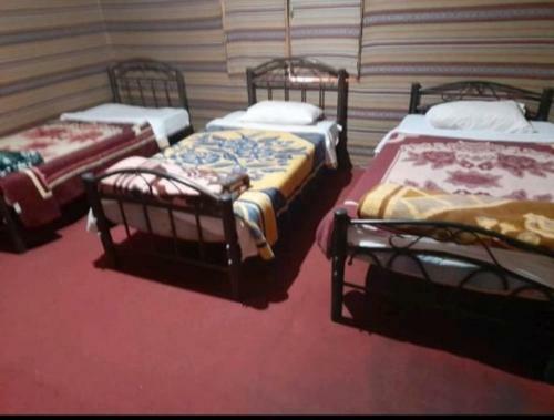 Apartamento Sunlight Wadi Rum Camp