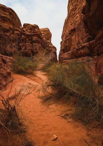 Bed & Breakfast Wadi Rum Desert Sun Camp