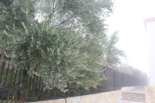 Asas Al Jabal Apartments ??? ???? ?????