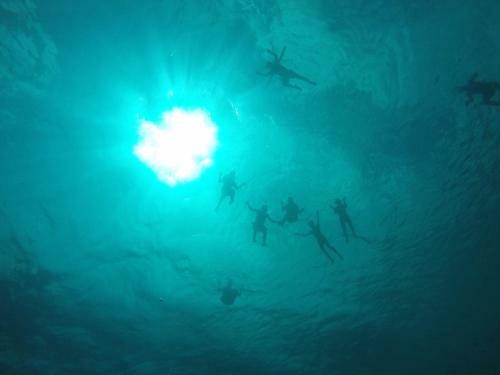 Apartamento Kas Dolphin Sabal Palm Bonaire