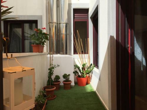 Mai Apartment II