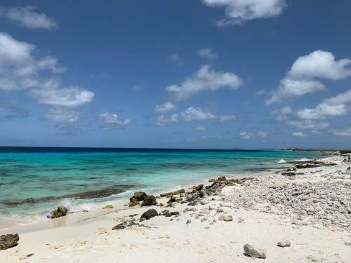 Salt Apartments Bonaire