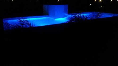 Apartamento Appartement Kas Wahoo At Sabal Palm Villas