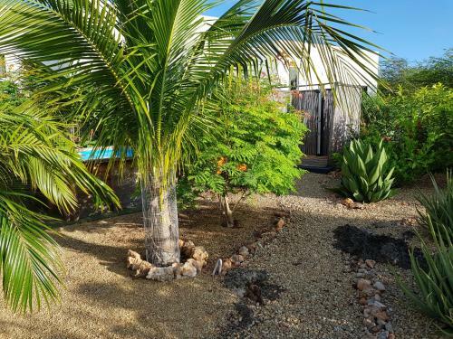 Apartamento Yamba From Bonaire