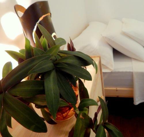 Bed & Breakfast Twenty Seven Degrees Las Palmas
