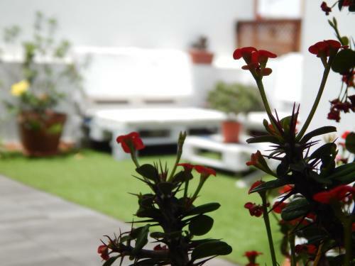 Bed & Breakfast Twenty Seven Degrees Las Palmas