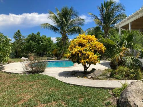 Bed & Breakfast Cosy Lakeview Cottage #1