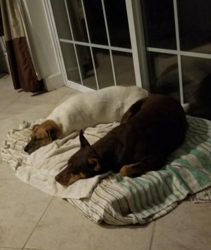 Bed & Breakfast Cosy Lakeview Cottage #1