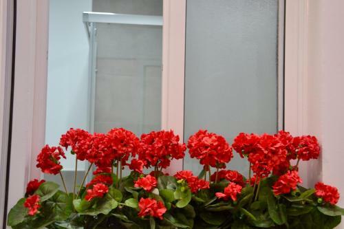 Apartamento The Blue House Las Canteras
