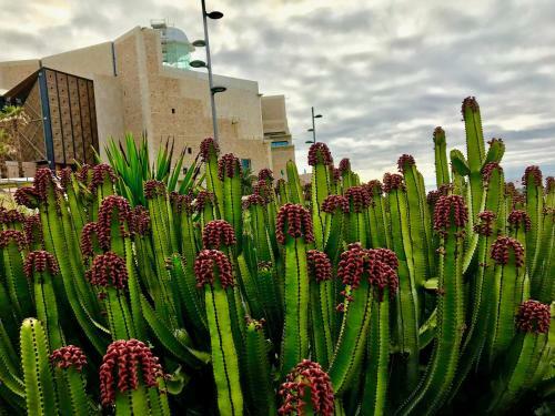 Apartamento Canary Islands Holidays